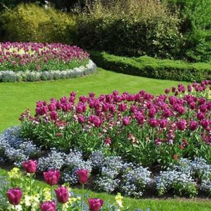 gardens