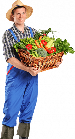farmer farmer